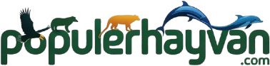 Popüler Hayvan